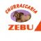 Churrascaria Zebu