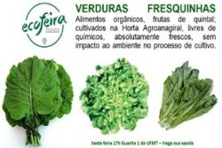 ECOFEIRA: Verduras so destaque da Ecofeira