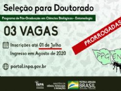 EDUCAO: Seleo para Doutorado em Entomologia do Inpa continua aberta at 01 de julho